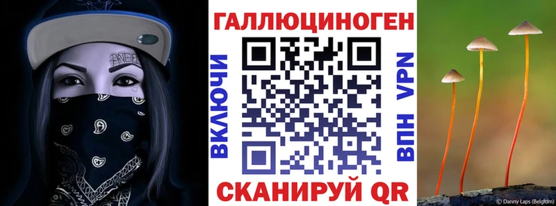 Купить закладки  Барнаул  Галлюциногенные грибы Psilocybine cubensis 